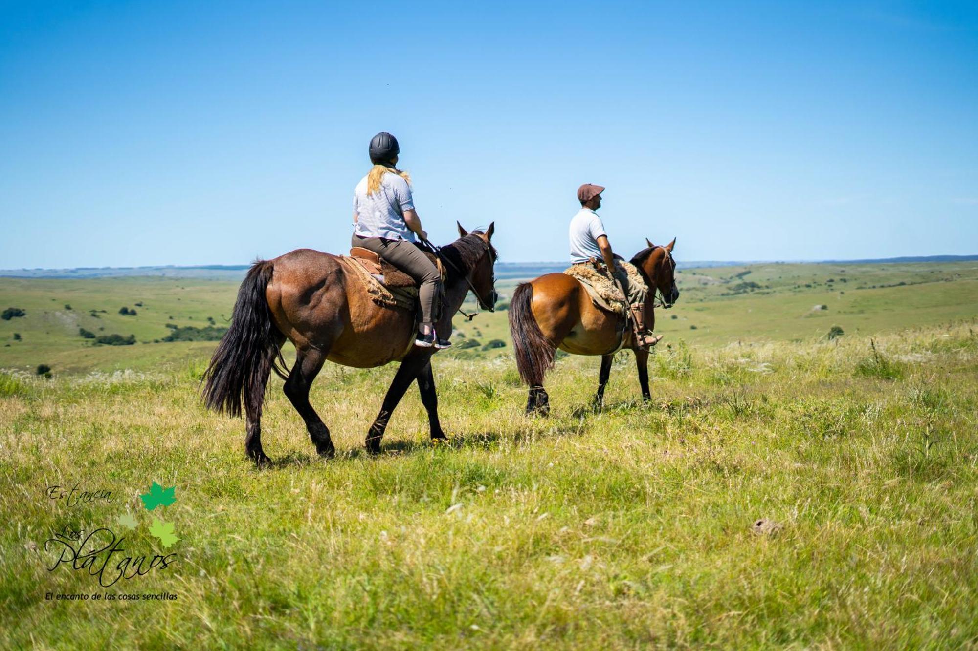 Estancia Los Platanos Валентинес Экстерьер фото