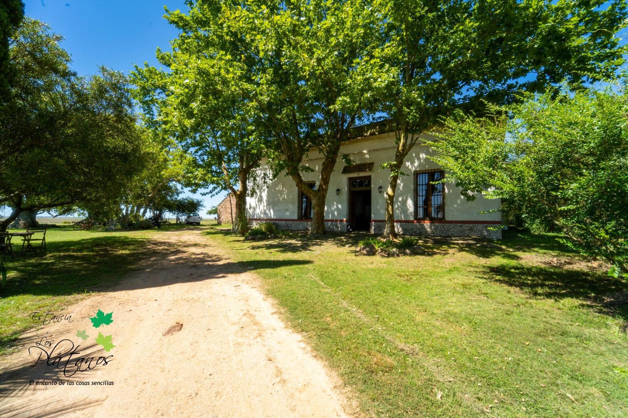 Estancia Los Platanos Валентинес Экстерьер фото