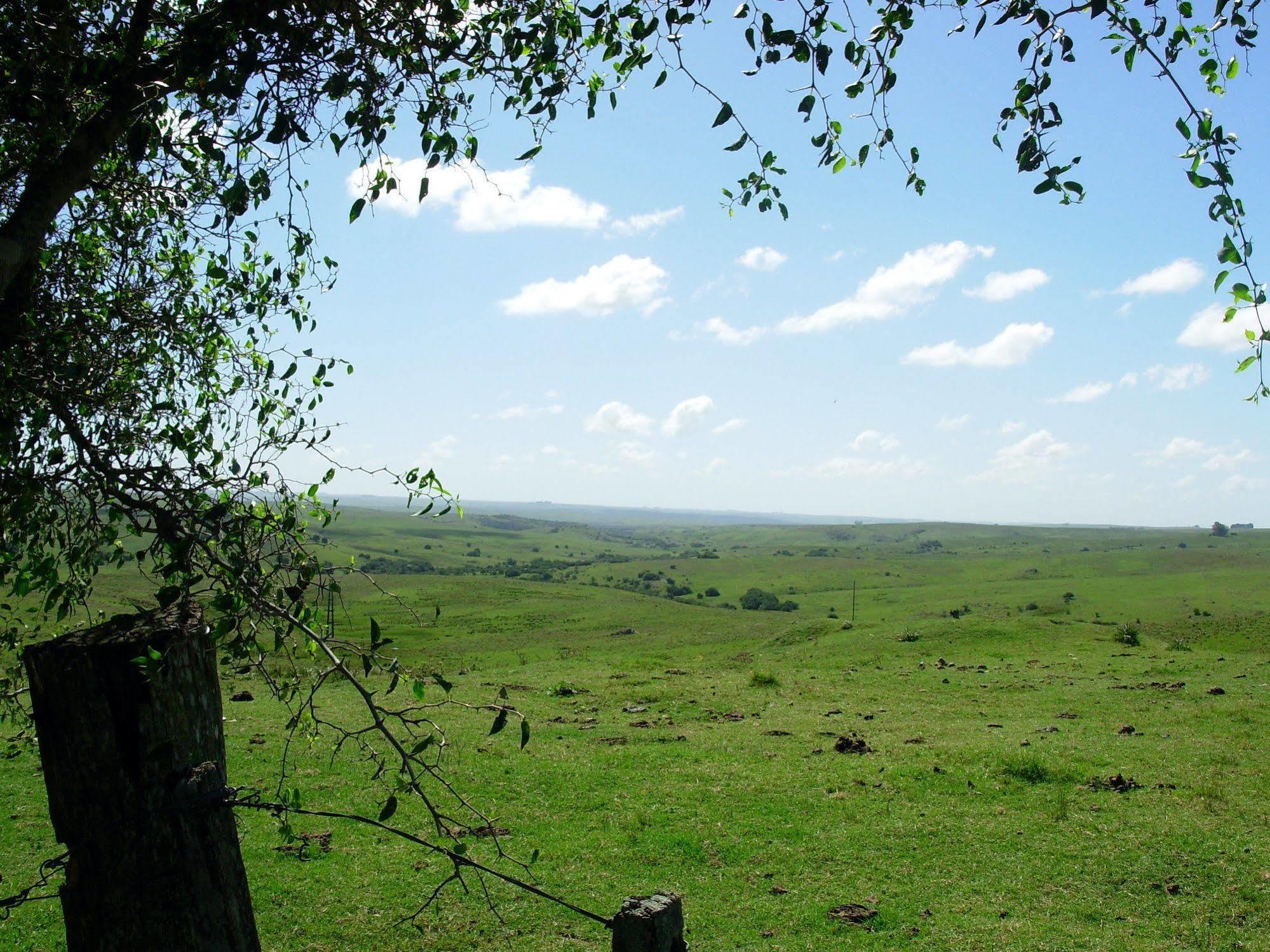 Estancia Los Platanos Валентинес Экстерьер фото